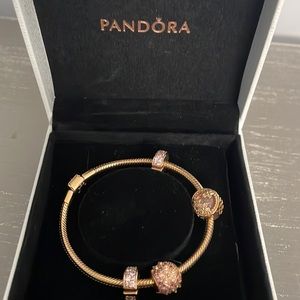 Pandora Rose Gold Charm Bracelet